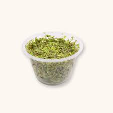 Image result for Lemna minor