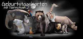 Geburtstagsspruche Welt Spruche Wunsche Gedichte Reime Sowie Geschenkideen