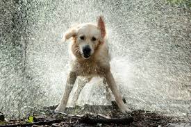 We did not find results for: Szuperinfo Kecskemet