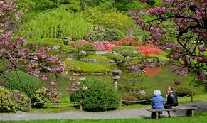 Free shipping for many products! Tranquil Beauty In The Seattle Japanese Garden Enchanted Gardens