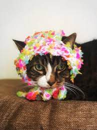 Crochet Cat Hat Small Dog Winter Hat White Sprinkles Unique Etsy Handmade Pet Crochet Cat Hat Crochet Cat