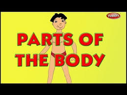March 8, 2018april 9, 2014 by dictionary for kids. Parts Of The Body Preschool Tamil Youtube