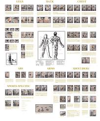 Printable Exercise Routine At Home Home Fitness Designing
