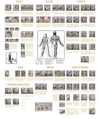 printable exercise routine at home home fitness designing