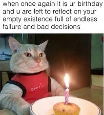 Funny Cat Birthday Candle Best Funny Pictures Animal Memes Laugh Funny Pictures