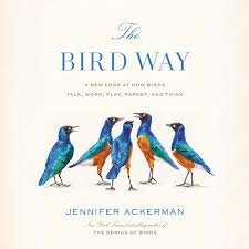 For a few of the birds that have irruptive patterns, lighter shading is used to define the potential boundary of their dispersal. The Bird Way By Jennifer Ackerman 9780735223035 Penguinrandomhouse Com Books