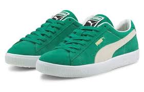 Image result for Pacific Green 2002 Puma