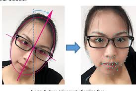 Figure 8 from Real-time face alignment enhancement by tracking