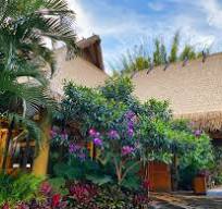 Thatch Portfolio | Huber & Associates