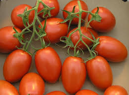 roma tomato wikipedia