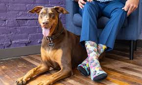 We'll even crop the face out for you free! Custom Pet Socks Cuddle Clones