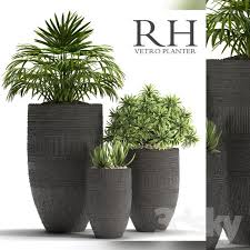 3d Models Plant Plants 42 Plants Tall Indoor Plants Planters