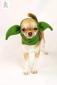 Snood For Dogs Dog Hats Dog Costume Chihuahua Hat Star Etsy In 2021 Dog Halloween Yoda Dog Costume Dog Costume
