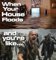 When Your House Floods And You Go Into All Out Panic Mode Noah Flood Homeflood Houseflood Funny Humor Meme Flo Flooded House Water Damage Repair Flood