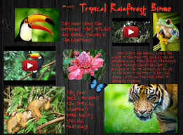 Hot, wet, and home to millions. Tropical Rainforest Biome Biome Canopy Ecosystem En Forest Frog Monkey Organism Plant Rainforest Glogster Edu Interactive Multimedia Posters