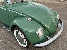 Image result for Delta Green 1968 Beetle