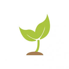  Gambar Sprout Tumbuhan Grafik Ikon Bentuk Template Tanam Clipart Ikon Tumbuhan Ikon Templat Png Dan Vektor Untuk Muat Turun Percuma In 2021 Plant Icon Icon Design Brain Icon