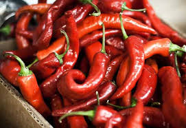 Si tratta dei peperoncini piccanti ripieni di tonno, alici e capperi. Coltivare Peperoncino In Casa