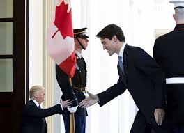 Epingle Sur Trump