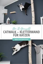 Catwalk Kletterwand Fur Katzen Diy Katzen Kletterwand Katzen Kratzbaum Selber Bauen