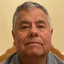 Veronica Saul's Instagram, Twitter & Facebook