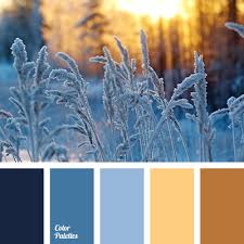 Categorize yourself as a winter if you have dark hair and cool tones. Colors Of Winter Color Palette Ideas