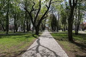 Zapraszamy do zamówień online od wtorku. Augustow Rynek Zygmunta Augusta Musi Tetnic Zyciem Potrzebny Pomysl Gazeta Wspolczesna