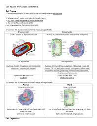 More images for animal cell organelle list » Cell Review Worksheet Answers Cell Theory