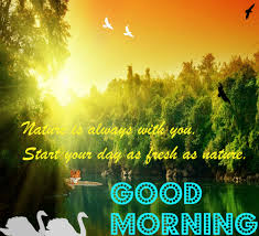 You can sit on your private deck with a good book and relax watching the sun set and fall asleep to the calming sounds of nature. Morning Greetings Sunrise Good Morning Nature Gif Novocom Top