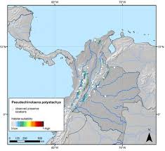 Image result for Pseudechinolaena polystachya