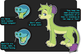 Image result for Xeroderris