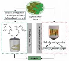 The key to unlocking low‐cost cellulosic ethanol. Pretreatment Methods For Lignocellulosic Biofuels Production Current Advances Challenges And Future Prospects