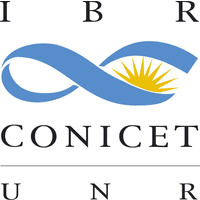 Currently, the council has more than 10 thousand researchers, 11 thousand doctoral and postdoctoral fellows, 2. Institute Of Molecular And Cell Biology Of Rosario Ibr Conicet Unr Linkedin