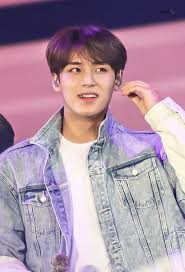 Kim Mingyu Suami Masa Depan Suami