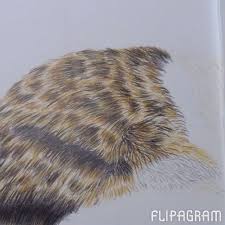 Is there a tutorial on whiskers? Deb Stanley On Instagram How I Draw Tortoiseshell Fur With Coloured Pencils Art Arts Help Art Motive Skrie Color Pencil Drawing Coloured Pencils Drawings