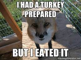 Fox Meme Fox Memes Funny Fox Fox