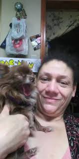 Adorable Boxer Dog CoCo Watching TV