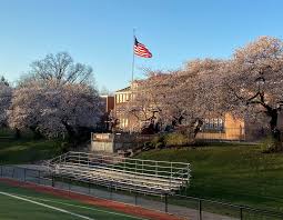 Nutley New Jersey Mayor Tucci Issues Update Regarding Usps Delays And Complaints