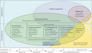 Cerebral small vessel disease and chronic kidney disease (ckd): Xxnytv Ybboftm