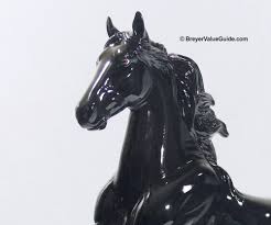 Image result for Thesium breyeri