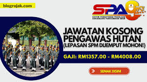 Calon perlu mengemaskini berdasarkan keputusan sebenar yang diperoleh pada 10 jun 2021. 30 Kekosongan Jawatan Pengawas Hutan Gred G19 Lepasan Spm Pun Boleh Mohon Blog Rojak
