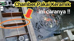 Cara Pemasangan Sekat Chamber Kolam Koi Menggunakan Keramik Youtube