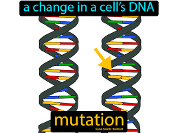 Pin On Rna Virus