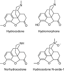 Image result for Hydrocodone