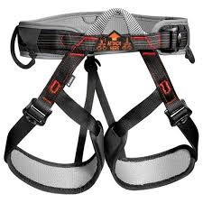 Petzl Aspir