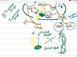 Silibus bab 8 biologi tingkatan 4 by maieymuhamad. Biologi Bab 6 Bahagian 10 Fotosintesis Spm Tingkatan 4 Youtube