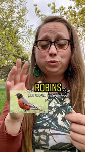 What Is The Spiritual Meaning to See Two Robins