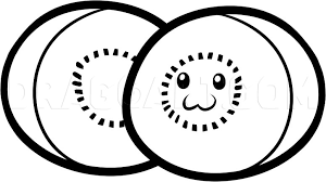 How To Draw Kiwi Kiwi Fruit Step By Step Drawing Guide By Dawn Dragoart Com Write about the interesting kiwi, nativird of new zealand, or make up a story using this fun story paper. how to draw kiwi kiwi fruit step by
