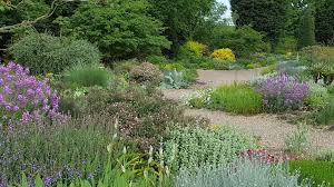 Beth Chatto S Gravel Garden At The Beth Chatto Gardens At Elmstead Market Colchester Essex Www Bethchatto Co Uk Gravel Garden Garden Design Garden