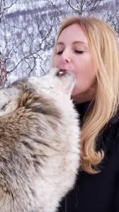 Article via businessinsider) A woman died after being shot in the Capitol 